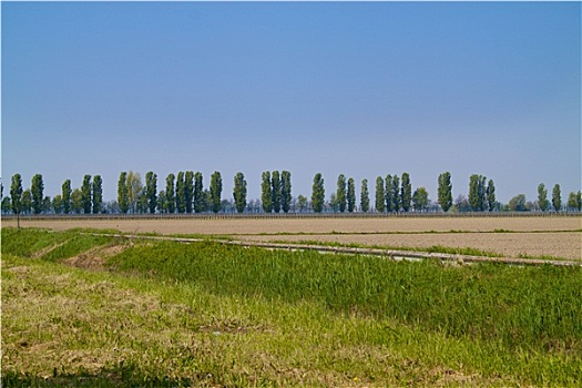 đề miền bắc