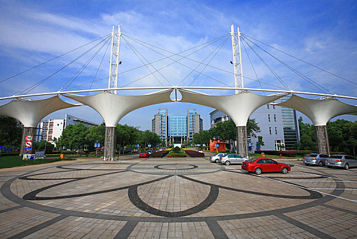 soi cau mb rong bach kim 666