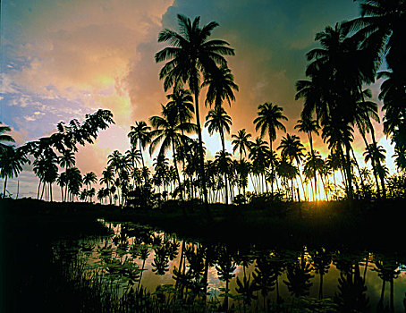 xs khanh hoa hom nay