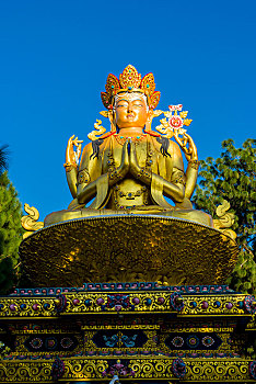 soi cau binh dinh wap
