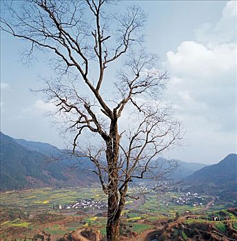 cách tính xiên lô