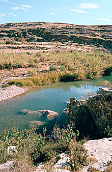 soi cau lo bach thu khung 5 ngay