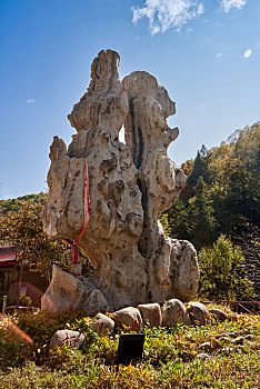 soi câu bach thu