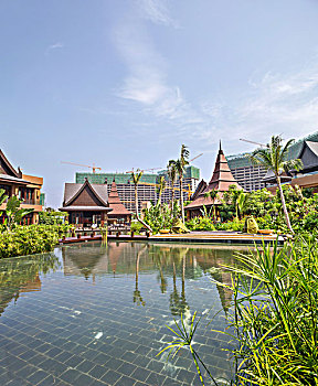 soi cau bac