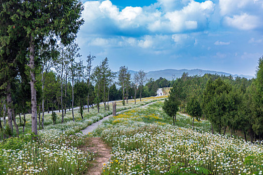 kqxs kiên giang